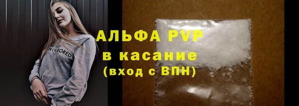 ECSTASY Белокуриха
