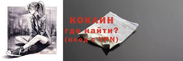 ECSTASY Белокуриха