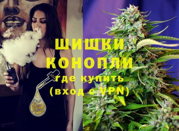 ECSTASY Белокуриха