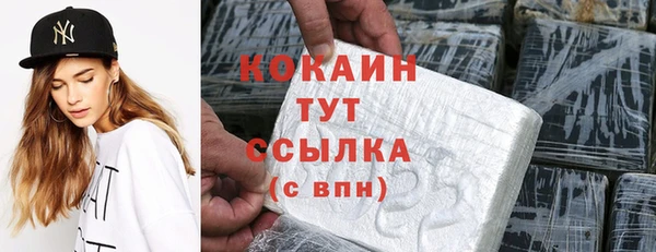 мдпв Богданович