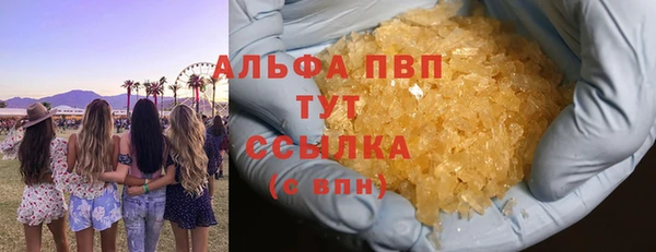 ECSTASY Белокуриха